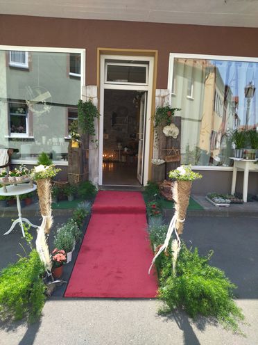 Blumenecke Ingolf Ebert | Pflanzen