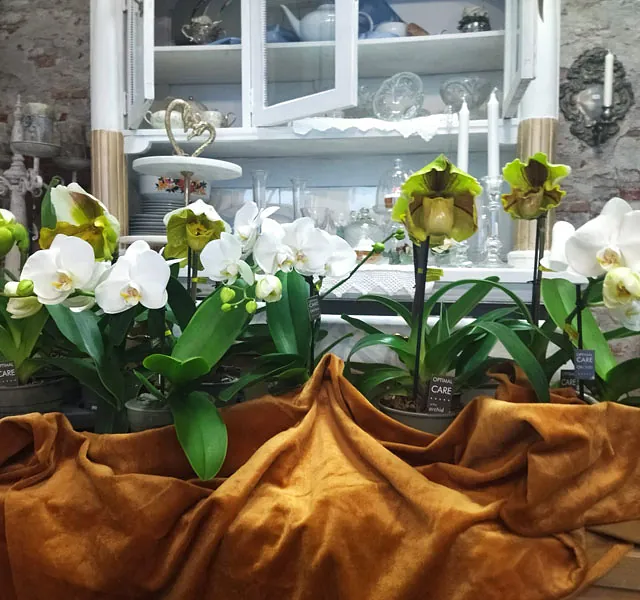 Blumenecke Ebert - Referenzen 