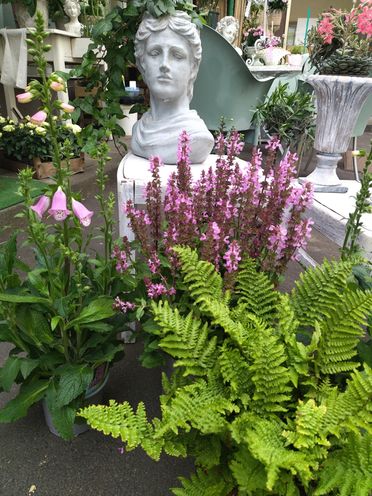 Blumenecke Ingolf Ebert | Pflanzen