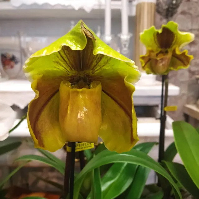 Blumenecke Ebert - Referenzen 